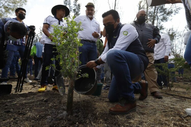 Arranca temporada de reforestación 2022