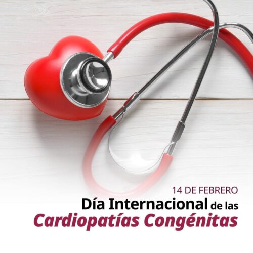 El corazón que se observa desde temprano