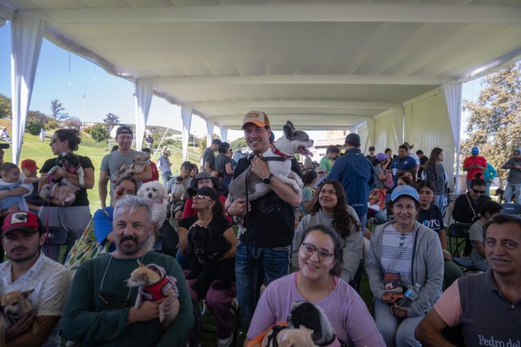 Un paso por el bienestar animal en El Marqués