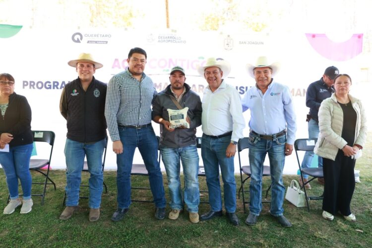 Maíz para resistir: apoyo a temporalistas en San Joaquín