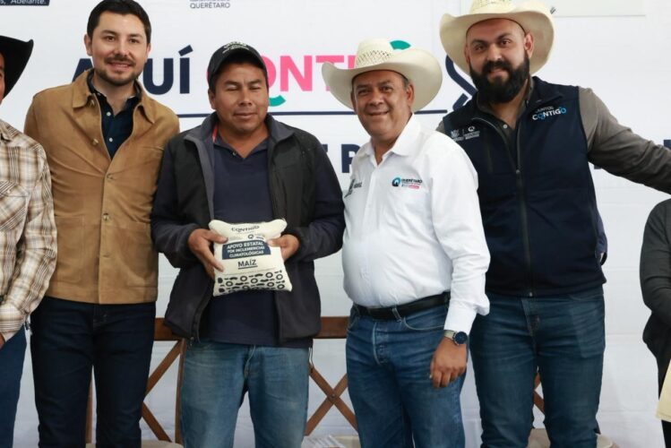 El maíz como alivio: apoyo al campo en tiempos adversos