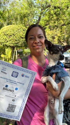 Viajar juntos: mascotas, ciudad y nuevas formas de movilidad en Querétaro