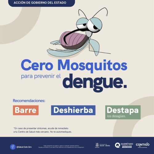 La batalla silenciosa contra el mosquito comienza en casa