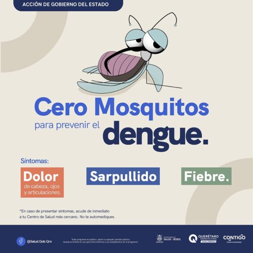 El enemigo invisible del verano: Querétaro intensifica vigilancia contra el dengue