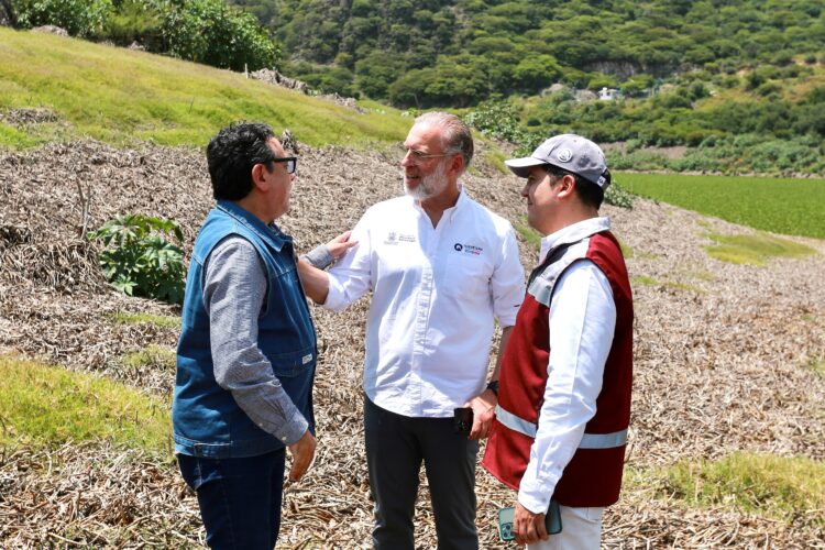 El Batán, un espejo de agua que vuelve a llamar la atención