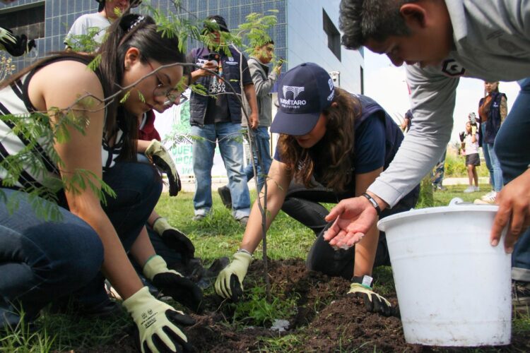 Sembrar una ciudad también comienza con un árbol