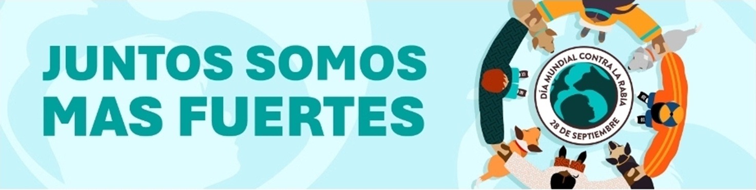 La importancia de no esperar